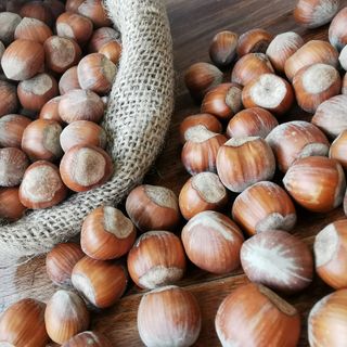 nocciola - foto d'archivio