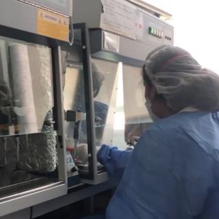 Coronavirus, pronti i kit prodotti &quot;in house&quot; per eseguire i tamponi [VIDEO]