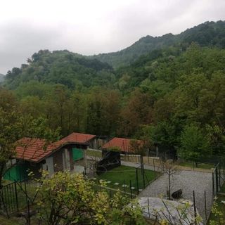 Fase 2, la beffa delle pensioni per cani e gatti: “Noi isolati da tutti, ma comunque obbligati a stare chiusi”