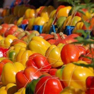 Oltre 100 mila presenze alla Fiera del Peperona di Carmagnola, Sola: &quot;Un grande successo&quot; [VIDEO]