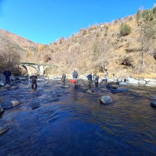 Due nuovi incubatoi ittici nella Dora per la conservazione della trota marmorata e del temolo adriatico