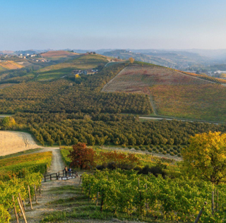 Itinerari enogastronomici in Piemonte: un viaggio tra vini e delizie regionali