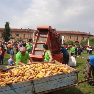 Parte il conto alla rovescia per la   Mandria di Chivasso  che si appresta a festeggiare la festa patronale 2019  nei giorni 17-18-19-20 maggio 2019