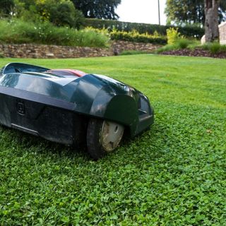 Robot tagliaerba: come funziona e che vantaggi assicura nella cura del prato