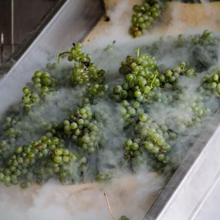 Coldiretti Piemonte sul vino:&quot;Serve liquidità per salvare cantine”