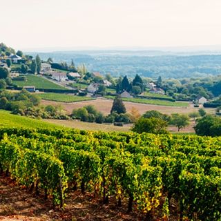 Con &quot;Terroir&quot; alla scoperta dei territori vitivinicoli di San Giorgio e del Canavese