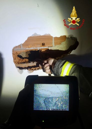 Albiano, i Vigili del Fuoco salvano gattino caduto in una canna fumaria Albiano, i Vigili del Fuoco salvano gattino caduto in una canna fumaria