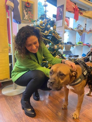 caucino e cane caucino e cane