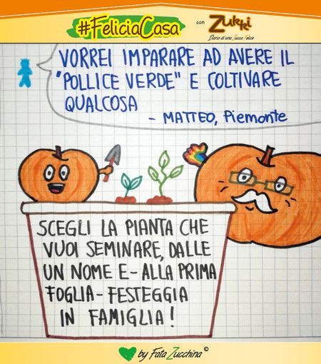 FavoleaCasa: Fata Zucchina legge e commenta “Pizza armonia” - racconto per l'anima FavoleaCasa: Fata Zucchina legge e commenta “Pizza armonia” - racconto per l'anima
