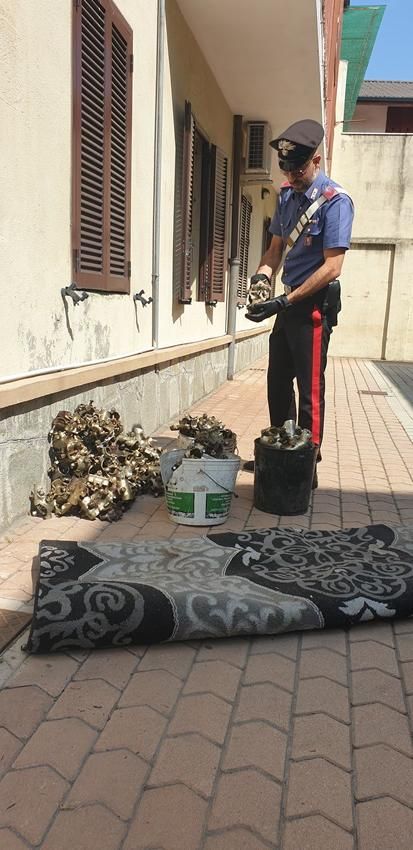 Furto in un'azienda a Leini: tre persone finiscono in manette