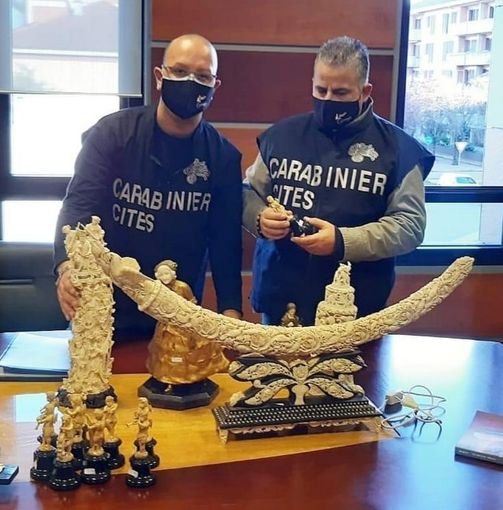 Già venduta per 45mila una "Coppa da Libagione" (immagine di precedenti sequestri)