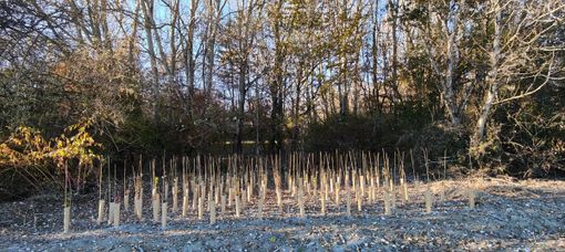 Immagine di repertorio Immagine di repertorio