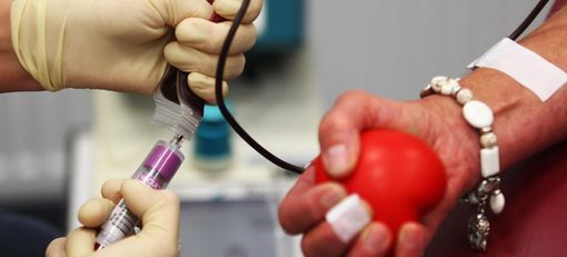 Manca il personale: a rischio le donazioni del sangue in Piemonte. Icardi: "Stiamo attivando un progetto pilota" Manca il personale: a rischio le donazioni del sangue in Piemonte. Icardi: "Stiamo attivando un progetto pilota"