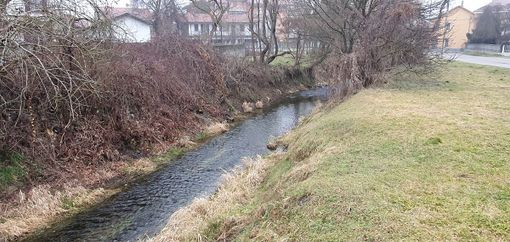 Troppe nutrie a Brandizzo, scatta la multa per chi viene beccato a dar loro da mangiare Troppe nutrie a Brandizzo, scatta la multa per chi viene beccato a dar loro da mangiare