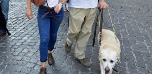 Per categorie con disabilità il mondo del lavoro è un rebus ancora più difficile da risolvere Per categorie con disabilità il mondo del lavoro è un rebus ancora più difficile da risolvere