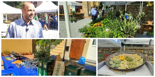 Collage di foto di un evento pubblico all'aperto Collage di foto di un evento pubblico all'aperto