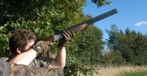 Caccia, approvate in Consiglio regionale alcune variazioni alla normativa Caccia, approvate in Consiglio regionale alcune variazioni alla normativa