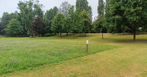 Con Apegrill aree per la biodiversità urbana a Chivasso Con Apegrill aree per la biodiversità urbana a Chivasso