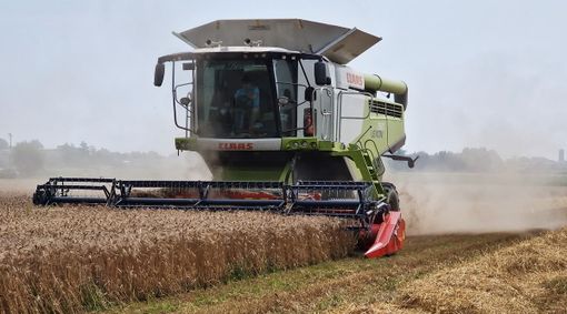 Trebbiatura del grano Trebbiatura del grano