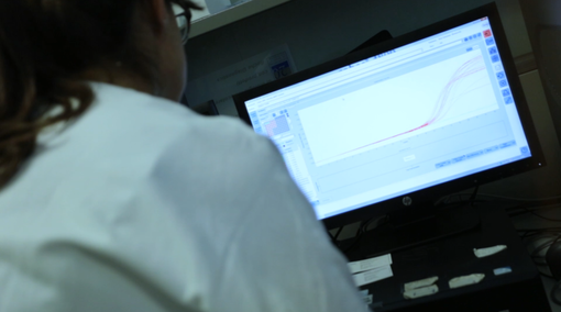 Coronavirus, oggi nessun decesso in Piemonte. Scendono a sei i ricoverati in terapia intensiva