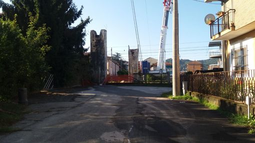 Alcuni momenti dell'abbattimento Alcuni momenti dell'abbattimento