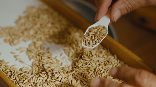 Crisi del riso, Confcooperative Piemonte: “Risaie asciutte, prezzi dimezzati e costi insostenibili. Il settore è al collasso"