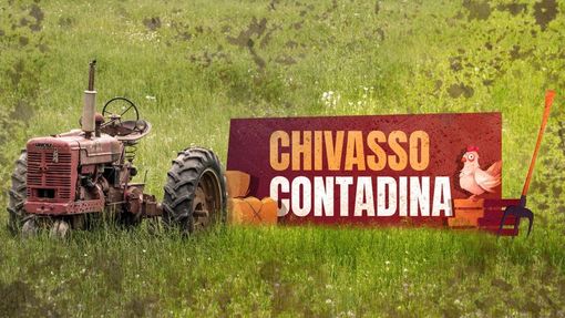 Chivasso Contadina: il gruppo social dedicato alla sostenibilità e all’ambiente Chivasso Contadina: il gruppo social dedicato alla sostenibilità e all’ambiente