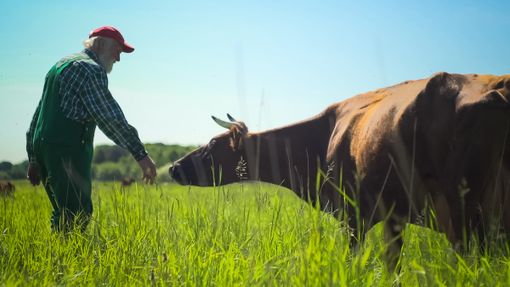 Cinemambiente torna in Valchiusella a braccetto con Slow Food: "Valorizziamo le comunità locali" Cinemambiente torna in Valchiusella a braccetto con Slow Food: "Valorizziamo le comunità locali"