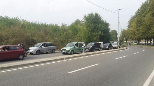 Avetta (Pd) ha presentato un'interpellanza: "Regione Piemonte deve intervenire e trovare una soluzione" Avetta (Pd) ha presentato un'interpellanza: "Regione Piemonte deve intervenire e trovare una soluzione"