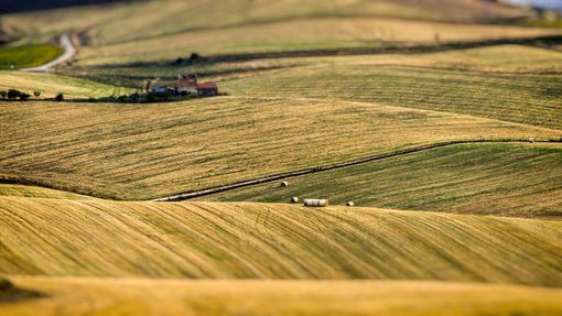 Psr Piemonte: 335mila euro per la conservazione del patrimonio vegetale locale in agricoltura