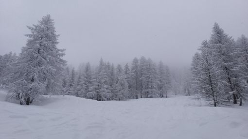 Nel weekend clima rigido, con gelate e brinate Nel weekend clima rigido, con gelate e brinate