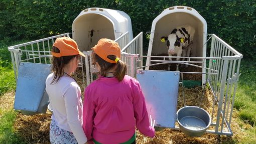 Bimbi alla presenza della filiera del latte