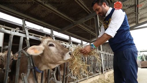 Agricoltura: “Votare Lega e scrivere Racca vuol dire portare le istanze delle nostre aziende agricole a Bruxelles” (VIDEO) Agricoltura: “Votare Lega e scrivere Racca vuol dire portare le istanze delle nostre aziende agricole a Bruxelles” (VIDEO)
