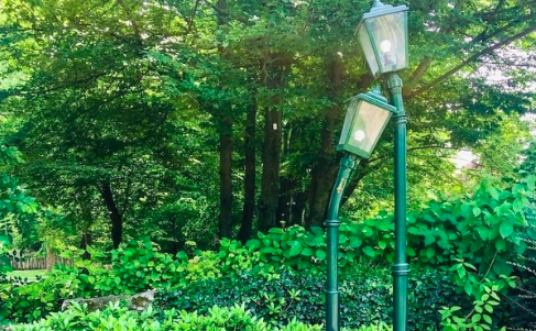 San Valentino: ecco come celebrare a Torino la festa degli innamorati San Valentino: ecco come celebrare a Torino la festa degli innamorati