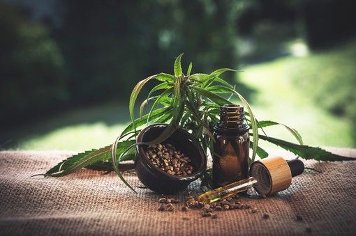 Olio di CBD: tutto quello che c’è da sapere questo integratore naturale Olio di CBD: tutto quello che c’è da sapere questo integratore naturale