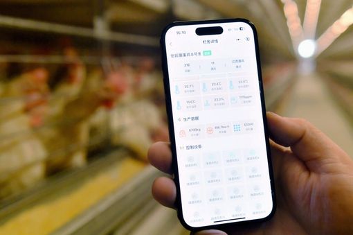 La Cina crea un sistema di registrazione per i diritti di proprietà dei dati