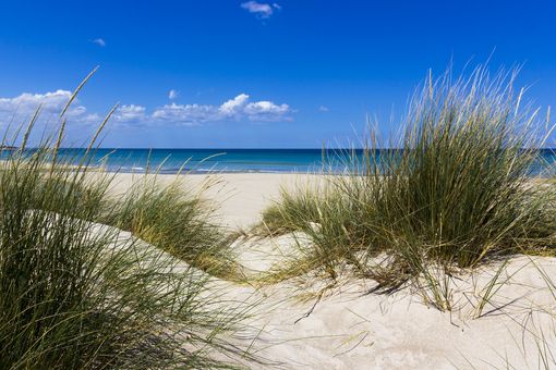 Dove andare in vacanza in Puglia: la spiaggia di Torre Mozza