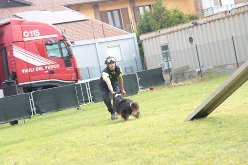 Ricerche sotto le macerie, dall’Aquila a Rigopiano: ora i cani di Volpiano hanno una scuola rinnovata [VIDEO]