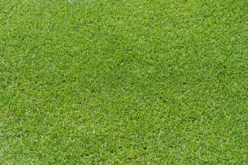 Tappeto erba sintetica: praticità, drenaggio e comfort sotto i piedi Tappeto erba sintetica: praticità, drenaggio e comfort sotto i piedi