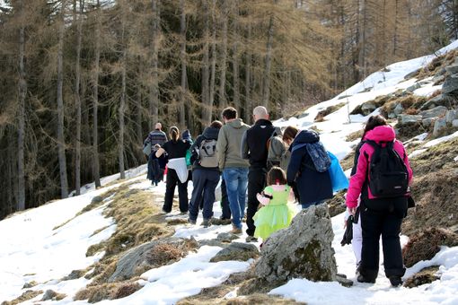 Pian munè: Giornata delle Foreste con Notturna nel bosco
