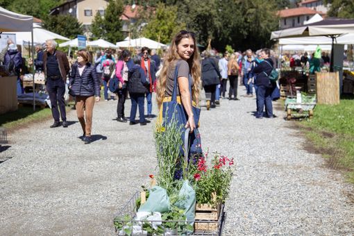 "Tre Giorni per il Giardino" al Castello di Masino "Tre Giorni per il Giardino" al Castello di Masino