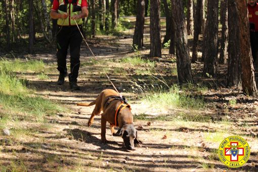 Magliano: &quot;L'attività cinofila riparta anche in Piemonte&quot;