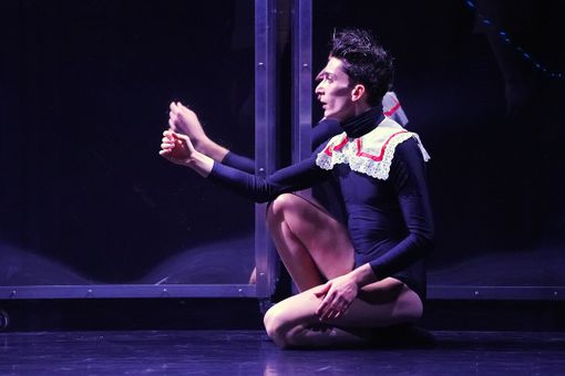 Disegnare l'arte, giocare col cinema, assistere a un balletto: i nuovi appuntamenti con la cultura in streaming a Torino Disegnare l'arte, giocare col cinema, assistere a un balletto: i nuovi appuntamenti con la cultura in streaming a Torino