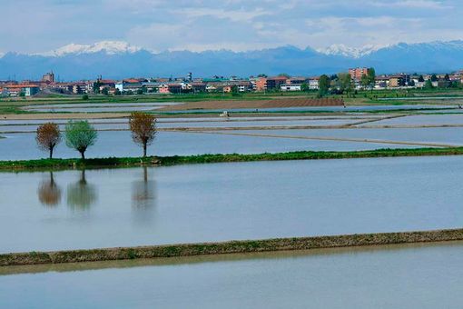 campo coltivato pieno d'acqua campo coltivato pieno d'acqua