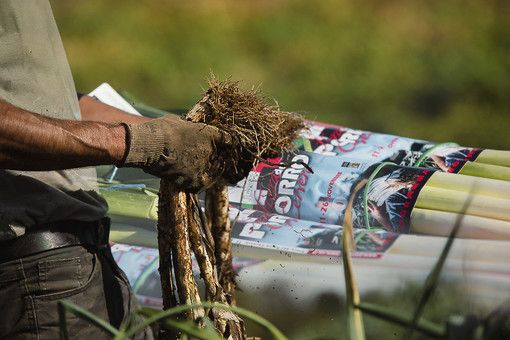 Presentata ufficialmente a Cervere la 44^ edizione della Fiera del Porro (FOTO E VIDEO) Presentata ufficialmente a Cervere la 44^ edizione della Fiera del Porro (FOTO E VIDEO)