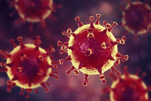 il coronavirus Covid-Sars-19