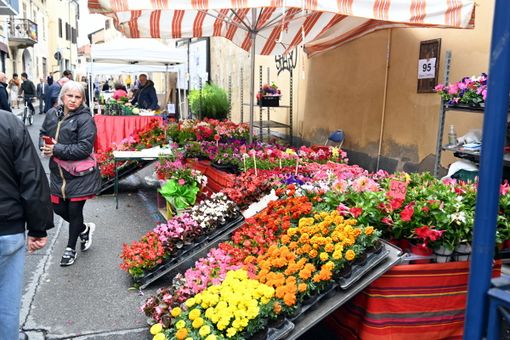 Bancarelle in strada