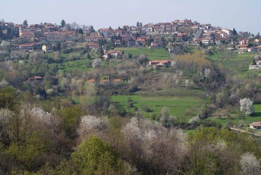 Consiglio comunale in videoconferenza a Castagneto Po