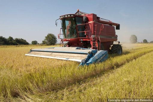 Piano per la qualità dell'aria: "In assenza di modifiche a rischio il settore agricolo" Piano per la qualità dell'aria: "In assenza di modifiche a rischio il settore agricolo"