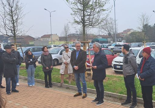 A Chivasso piantati otto alberi in memoria di una giovane vittima della strada.